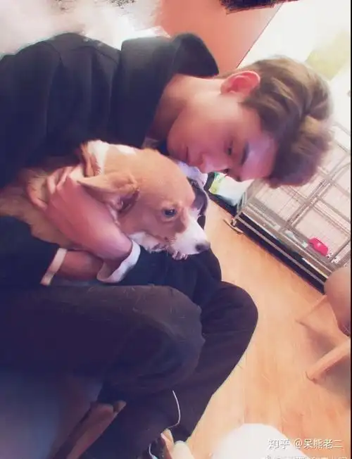 大傻子秦霄贤追星成功那么单口还会远吗