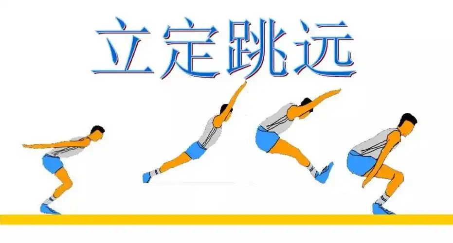 立定跳远完整的技术分为三步:预备姿势--起跳腾空--落地缓冲立定跳远
