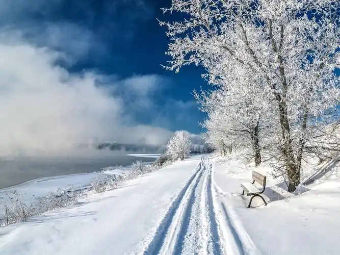 首页 自然与风景 冬天 公园,冬天,厚厚的雪,树,长凳,池塘 壁纸 / 1600