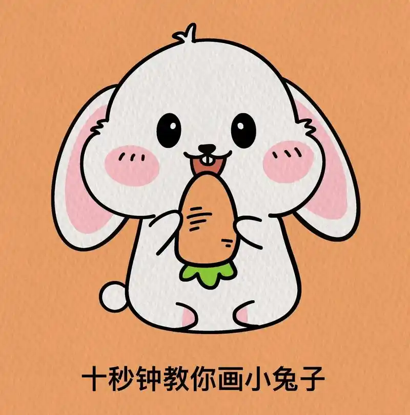 一看就会的可爱小兔子