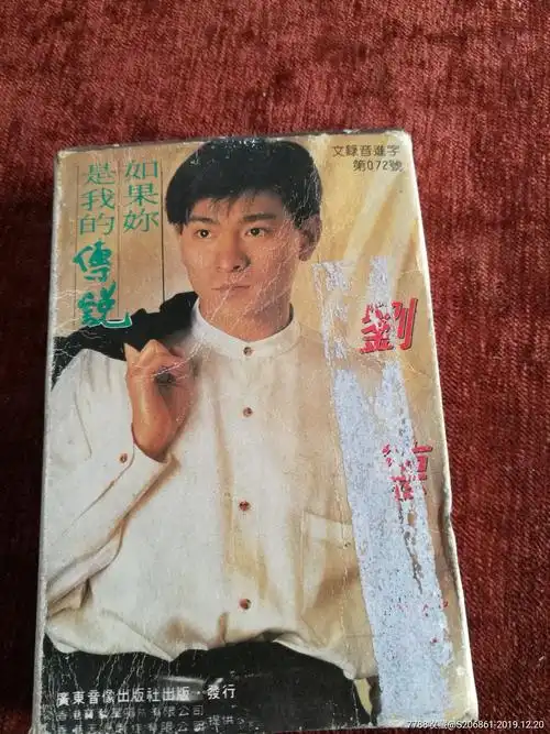 刘德华如果你是我的传说