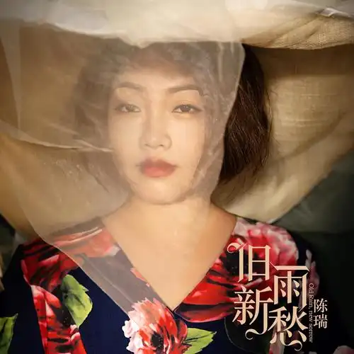 旧雨新愁_陈瑞_高音质在线试听_旧雨新愁歌词|歌曲下载_酷狗音乐