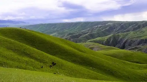 苍茫喀拉峻 高山大草原