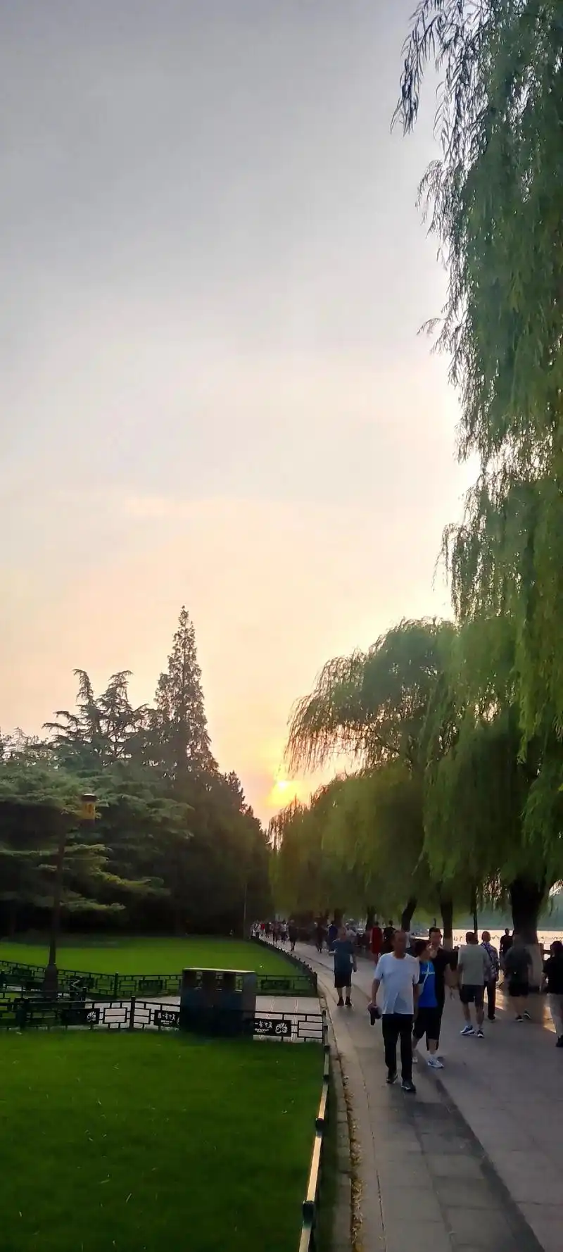 秋荷摇曳生姿,诗意盎然,让人心醉神迷. 秋天在人们的眼眸中是唯美的