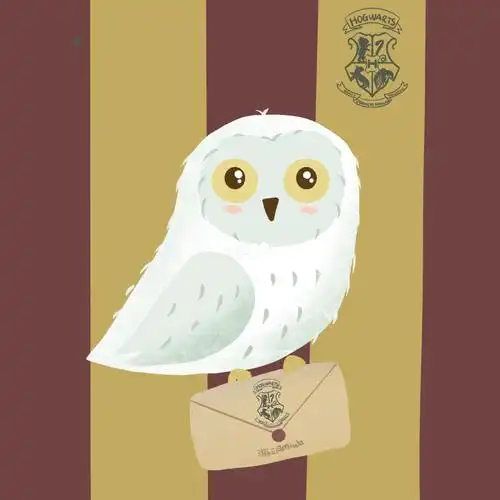 画画/哈利和他的海德薇_画画_哈利波特_我的随手画_文化_绘画