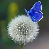 微信头像唯美风景图片大全【点击鼠标右键下载】