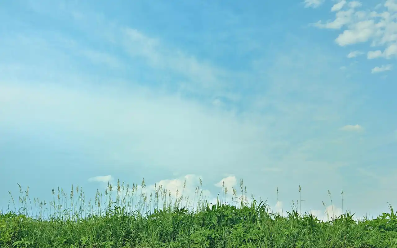 小清新系唯美自然风光高清壁纸