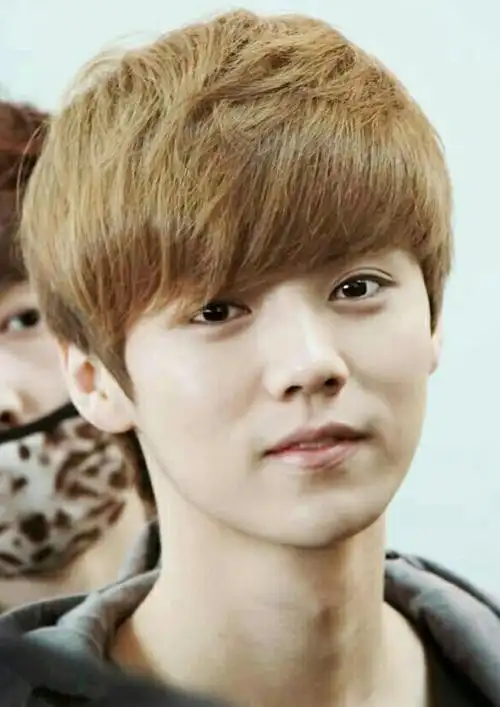 鹿晗的眼型是属于杏仁眼,他的眼睛大而明亮,一双小鹿眼十分清澈,卧蚕