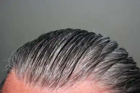 白发男子成年的白发男子一个成年白发55岁男子的肖像在白色背景成年的