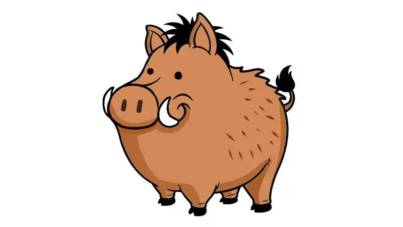 野猪简笔画 - 天奇生活