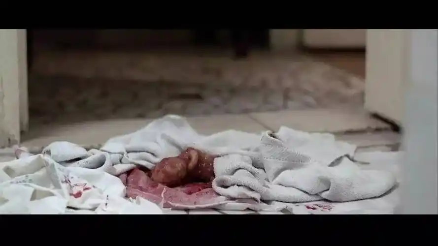 心平气和!四个月胎儿图"春暖花开"-第1张图片-月月博客