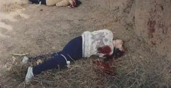 杀人事实清楚,法律无情,又逢特殊时期,所有罪行加重处理,应当判处死刑