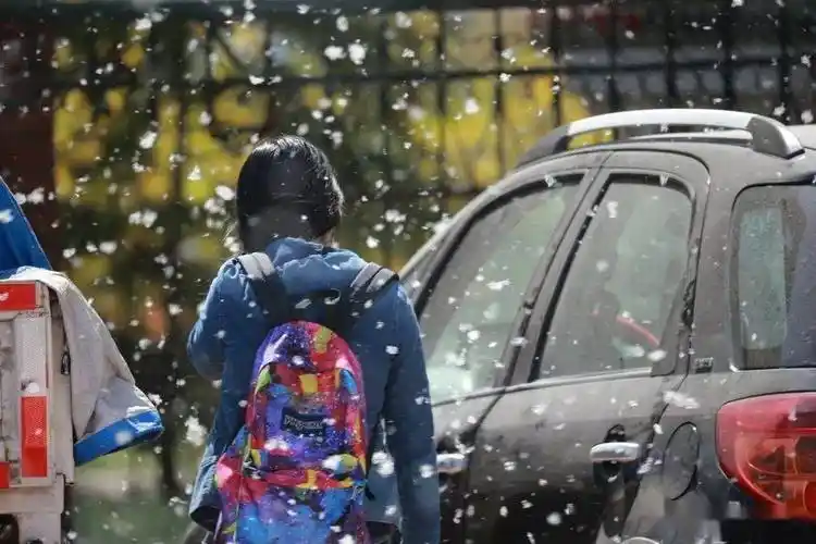 又到柳絮纷飞季预防过敏记住这几点