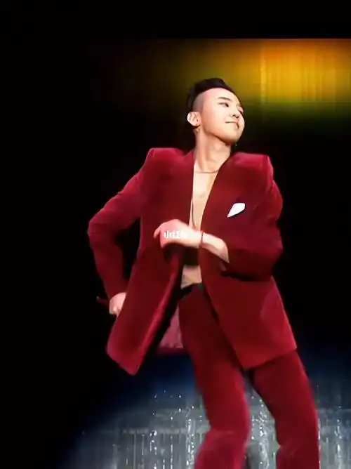 权志龙舞台片段扭进我心里