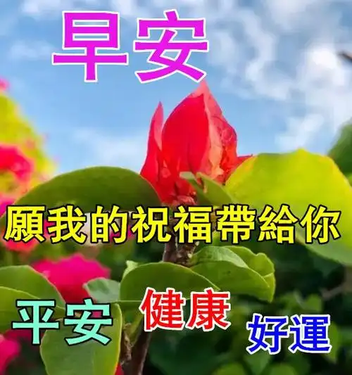 最新早上好祝福问候语,特漂亮的早安祝福唯美图片带字温馨