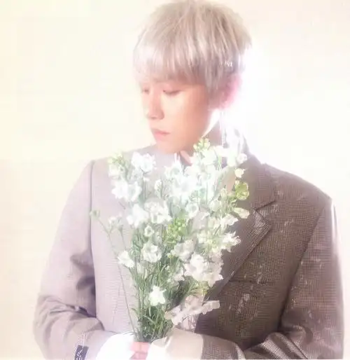 exo-cbx_baekhyun边伯贤_bloomingdays花曜日_扫图