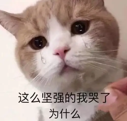 这么坚强的我哭了为什么 - 斗图表情包 - 金馆长表情库 - 真正的斗图