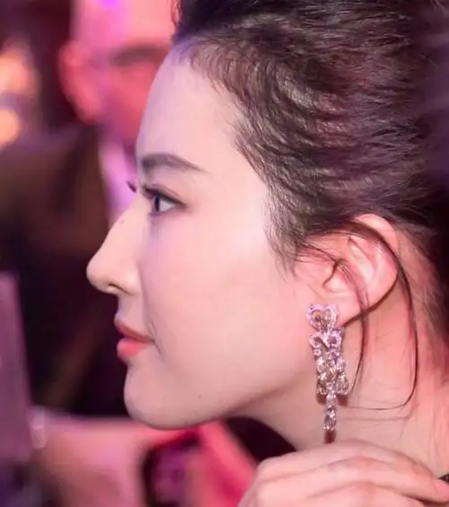 都知道刘亦菲的鼻子好看,不管正脸还是侧脸,都是神仙颜值.