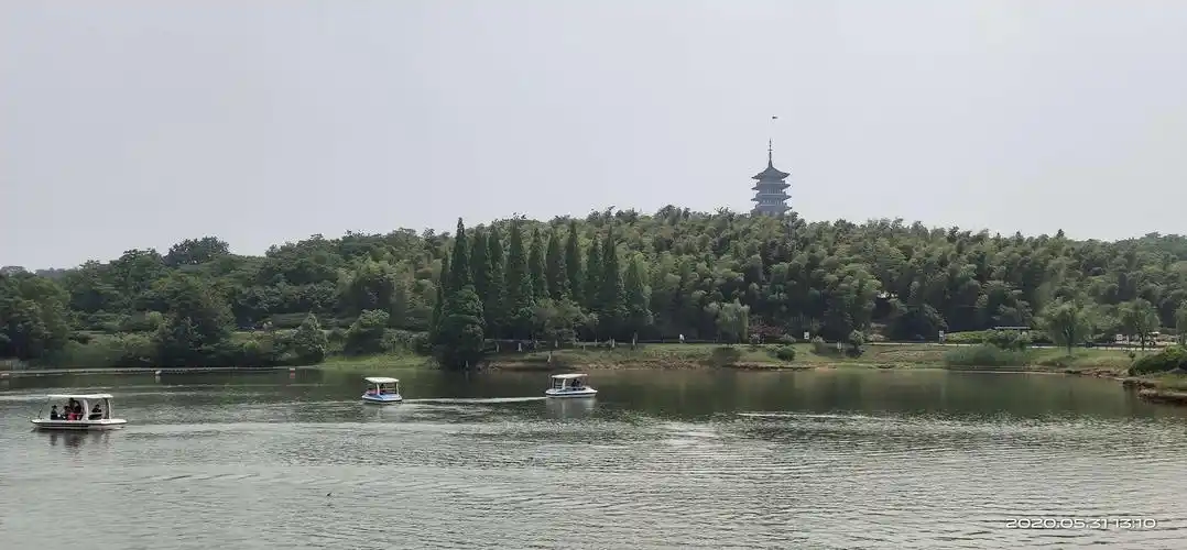 宜兴龙背山森林公园猎影