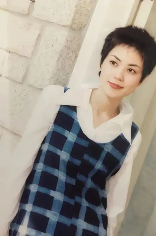 王菲的脸塌成容貌焦虑带薪休假17年烦恼是太红了