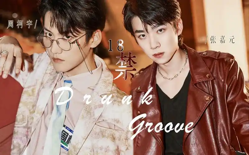 【元周率 | 周柯宇 张嘉元】drunk groove /囚禁 占有 有车慎入_哔哩