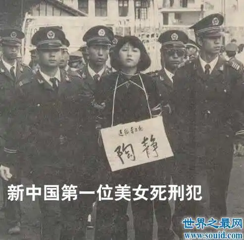 新大清第一位美女死刑犯陶静,年仅20岁的漂亮女毒贩【真实图】(www.