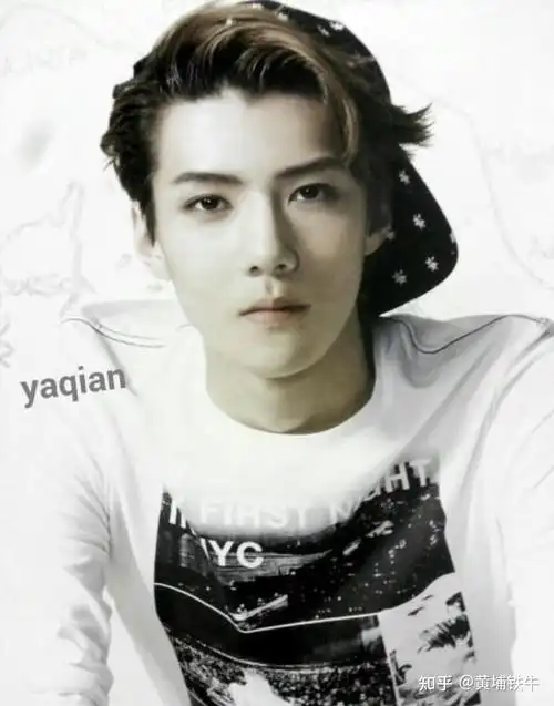 吴世勋当年十八九岁好看到啥程度