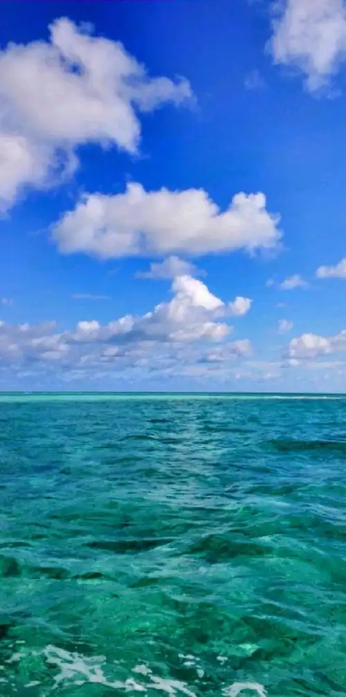 #唯美意境 #致敬岁月感恩过往 #唯美图片 - 抖音