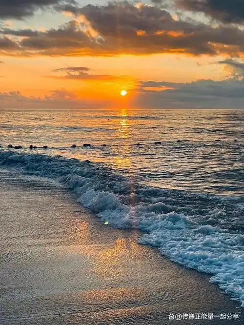 我感到一股莫名的暖流涌上心头,仿佛大海也在