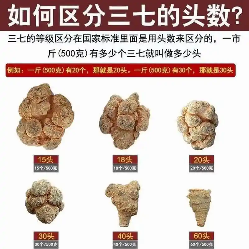 一张图教会你如何区分三七头↓三七 云南三七 云南三七粉