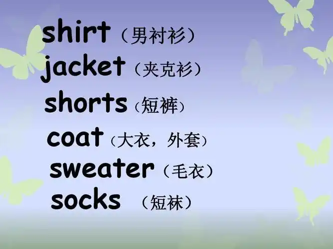 shirt(男衬衫) jacket(夹克衫) shorts(短裤) coat(大衣,外套)