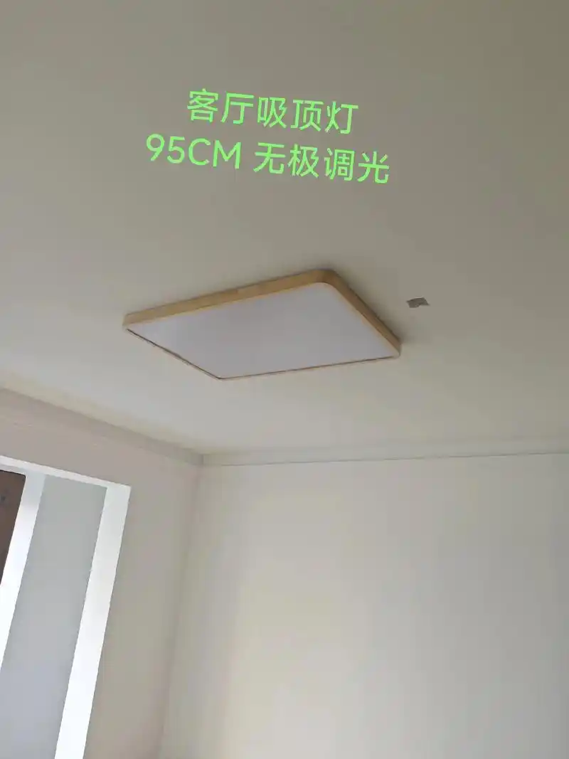 全屋灯具安装完毕