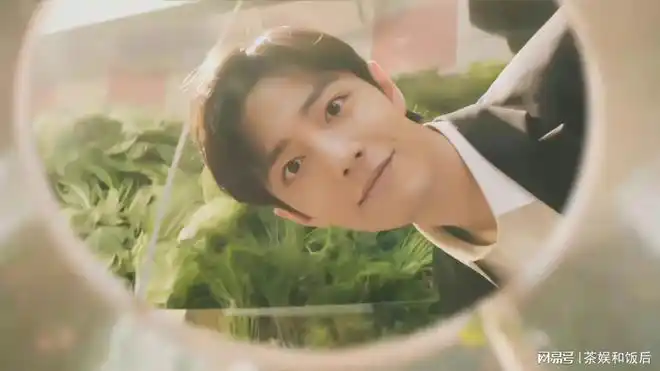 肖战的有效露脸,15秒的tvc也可以带飞国民度!|郭碧婷|高圆圆_网易订阅