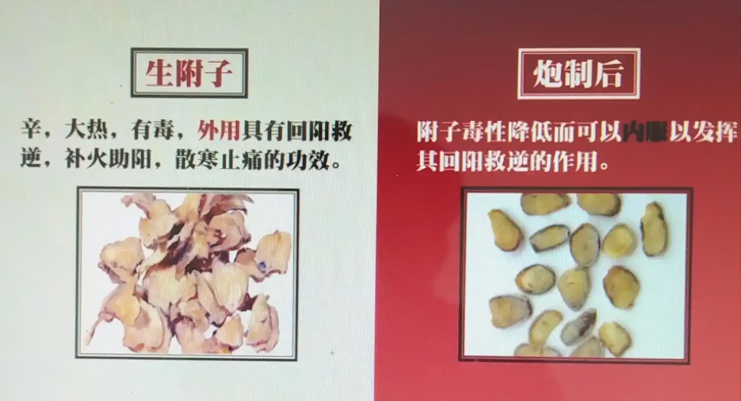 附子一一炮制作用,回阳救逆,散寒止痛