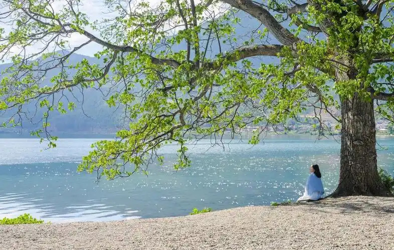 做人闭嘴闭嘴闭嘴看完一生有益