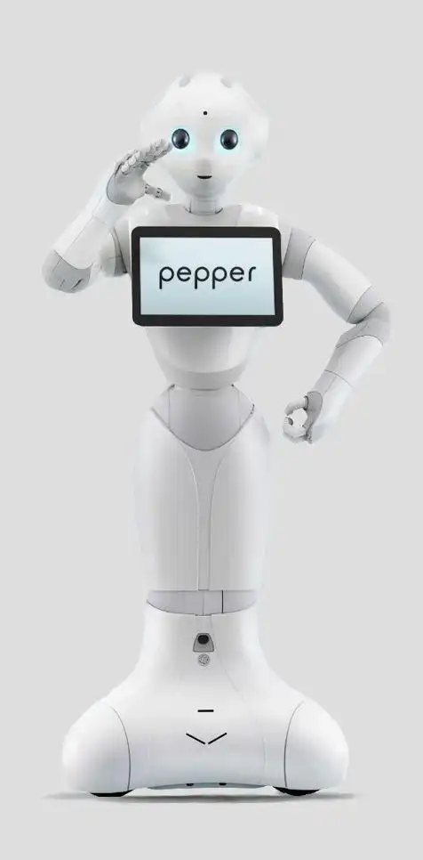 pepper|智能机器人