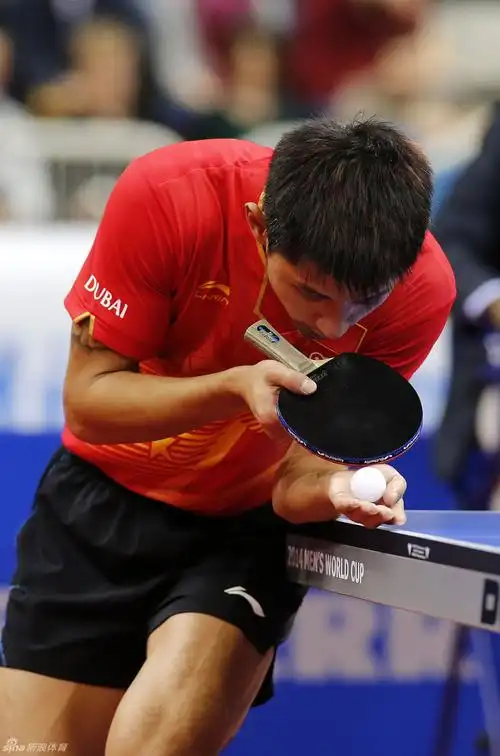 男乒世界杯张继科夺冠_高清图集_新浪网