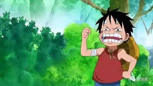 海贼王,为什么东海最弱?