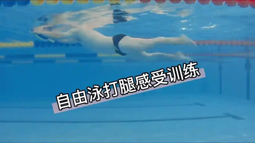 自由泳打腿的感受!