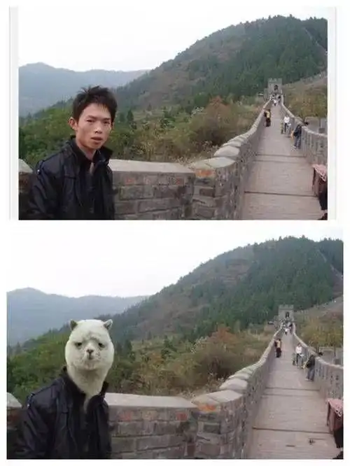 网友求大神p图被玩坏,画面不忍直视!