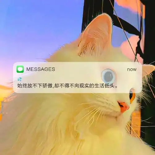 适合朋友圈个性签名的文案##背景图##锁屏壁纸##朋友圈背景图##朋友