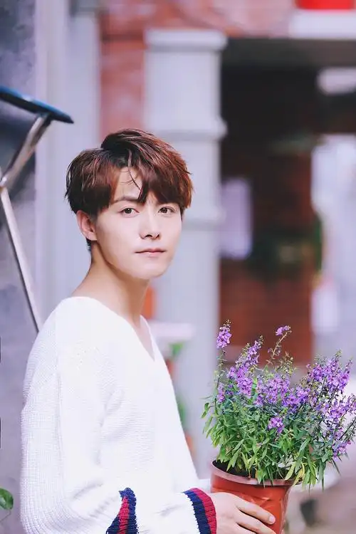 马天宇深秋帅气写真图片