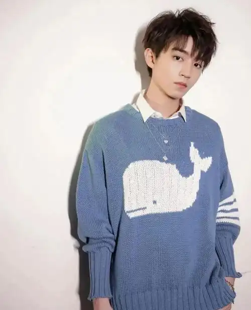 王俊凯,1999年9月21日生于中国重庆,中国内地男歌手,演员,tfboys队长.