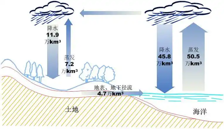 张杰:雨水循环与黑臭水体