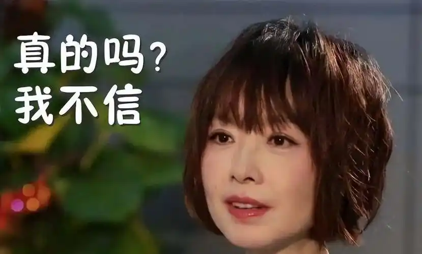 湖南卫视能摆脱过度娱乐化的路径依赖吗?|湖南卫视|鲁豫|节目_新浪新