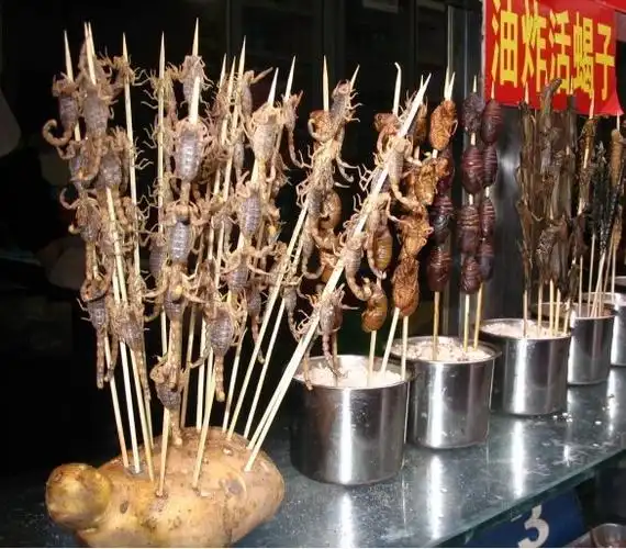 北京王府井油炸蝎子是什么品种 多大一个几厘米长