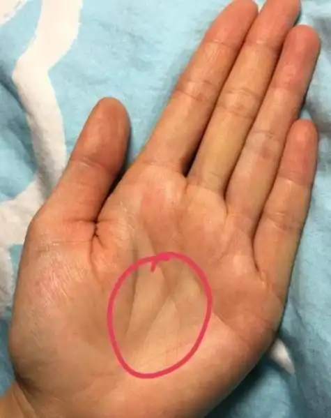 什么样的手纹好(什么样的手相最有福气) - 卜安居