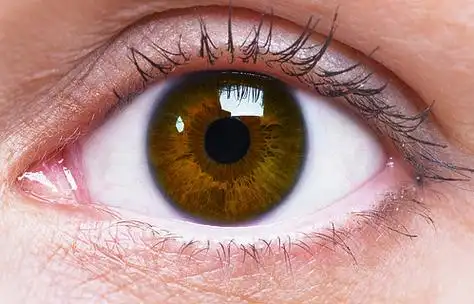 女性棕色眼睛的特写图像