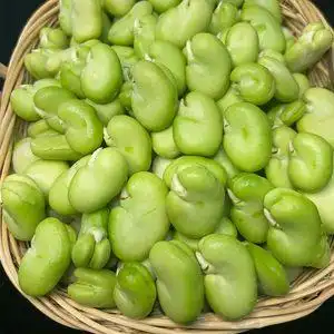 【青蚕豆价格】最新青蚕豆价格/报价 - q友网