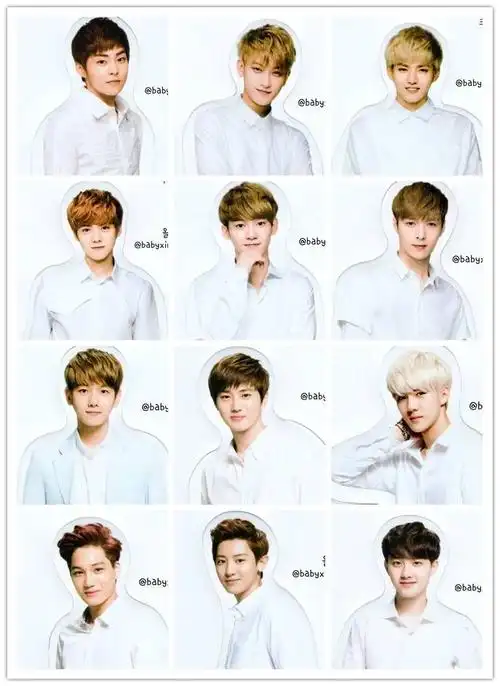 谁有exo12个人一起的照片,我对不上人和名字,谁能帮忙发一张带名字的